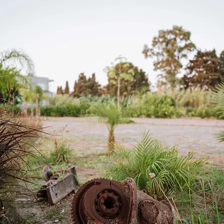 Manolis Seaside * Soroni