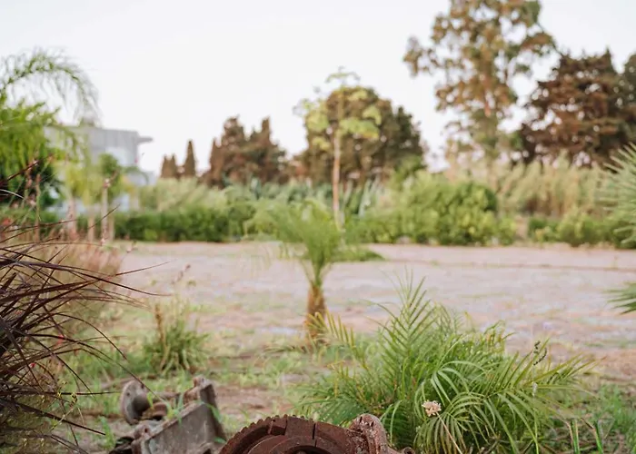 Manolis Seaside With Private Pool * Soroni